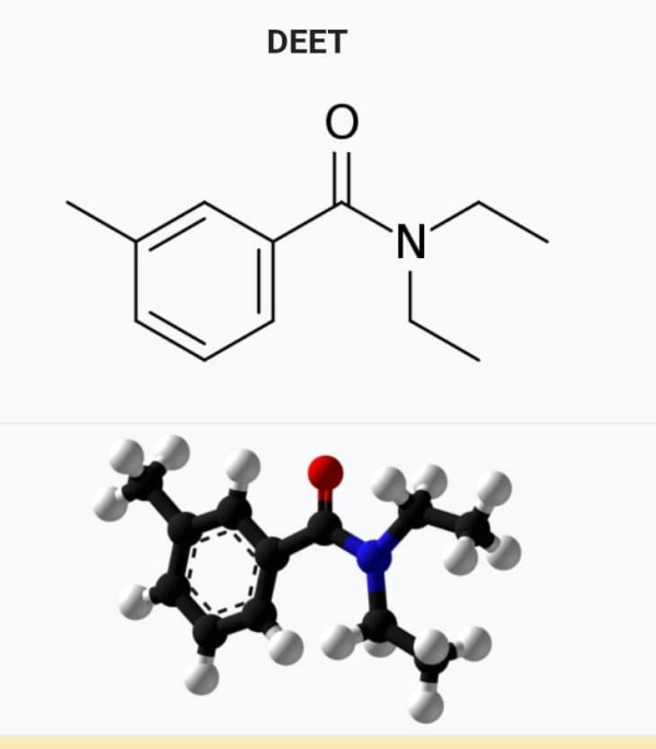 惹蚊體質｜3類人特別惹蚊 化學博士拆解吸蚊原因 驅蚊劑含一種成分最有效