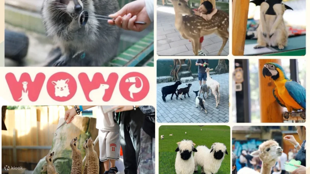 深圳WOWO窩窩萌寵森友會（世界之窗店）