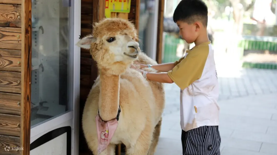 深圳WOWO窩窩萌寵森友會（世界之窗店）