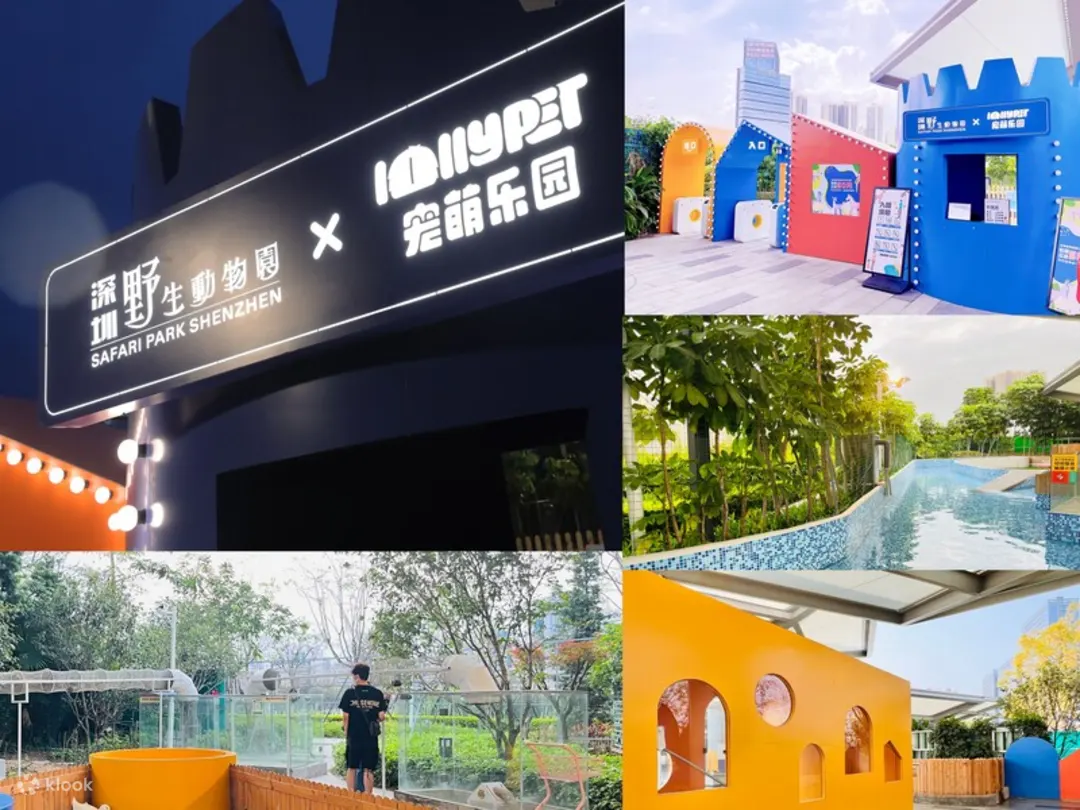 深圳Lollypet萌寵樂園