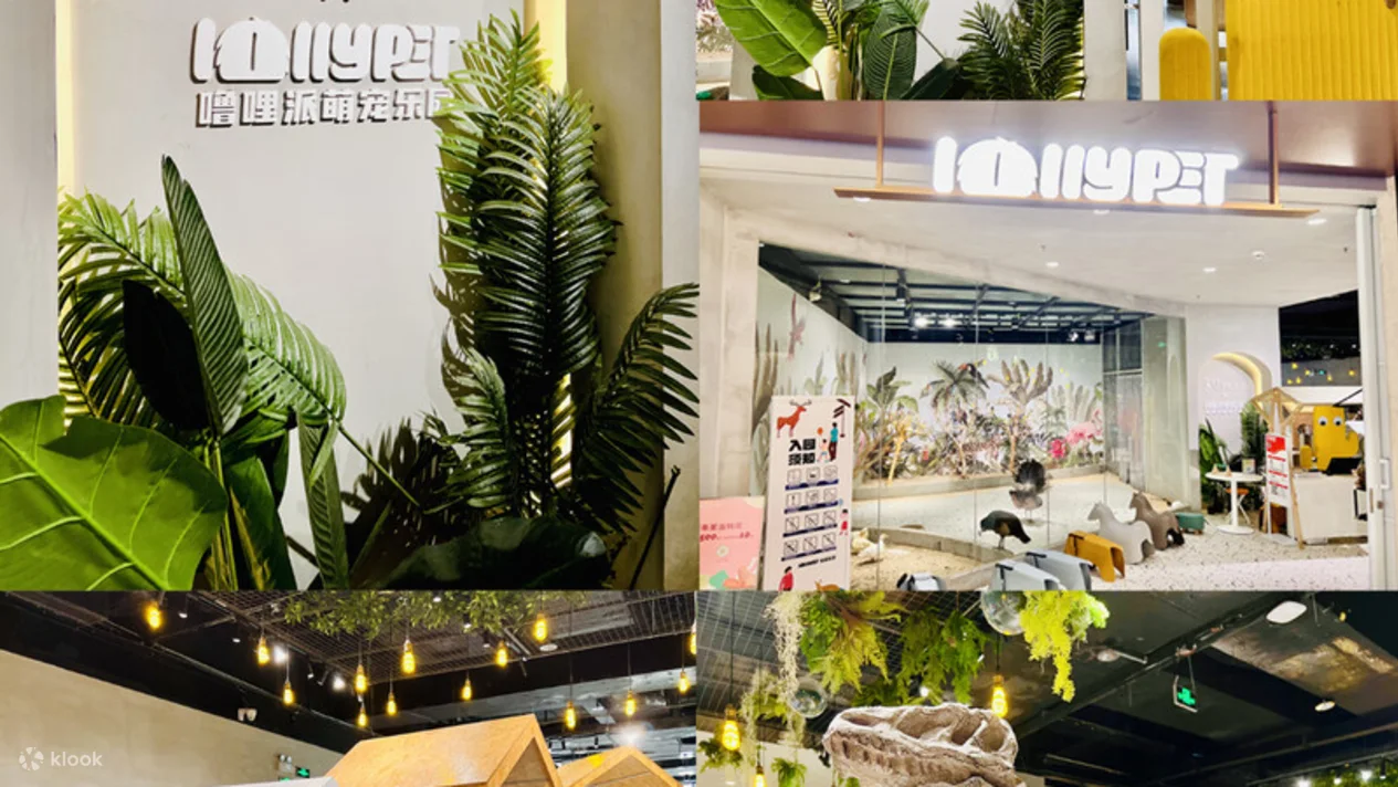 深圳Lollypet萌寵樂園