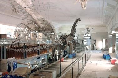 台北捷運淡水信義線 - 台大醫院站景點土銀恐龍化石館（圖片來源：國立臺灣博物館官網）