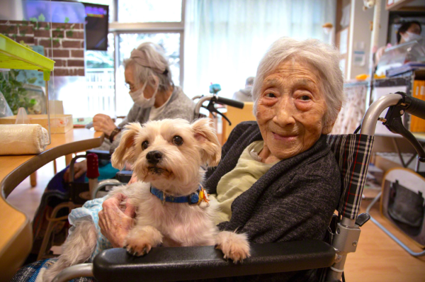 愛寵如己｜日本老人院准帶寵物入住 駐動物照顧員人寵一起終老