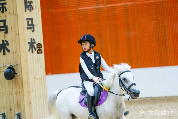 深圳6000平方米馬術俱樂部  ¥9.9起體驗課！親嘗餵食互動/騎馬 