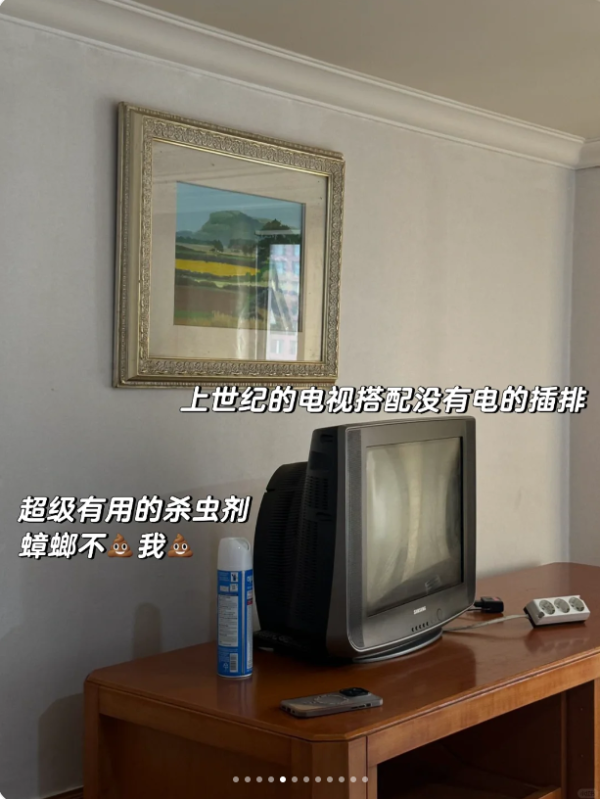 外國女遊泰國酒店驚遇2千隻飛蛾轟炸 床鋪全都是超嘔心/門口還掛眼鏡蛇?