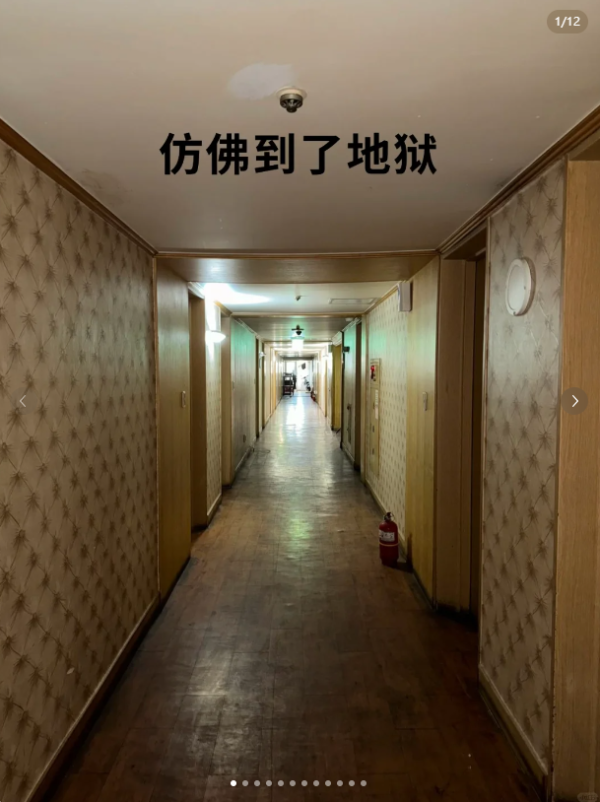 外國女遊泰國酒店驚遇2千隻飛蛾轟炸 床鋪全都是超嘔心/門口還掛眼鏡蛇?