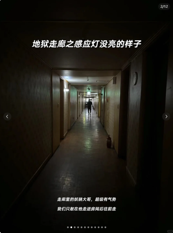 外國女遊泰國酒店驚遇2千隻飛蛾轟炸 床鋪全都是超嘔心/門口還掛眼鏡蛇?