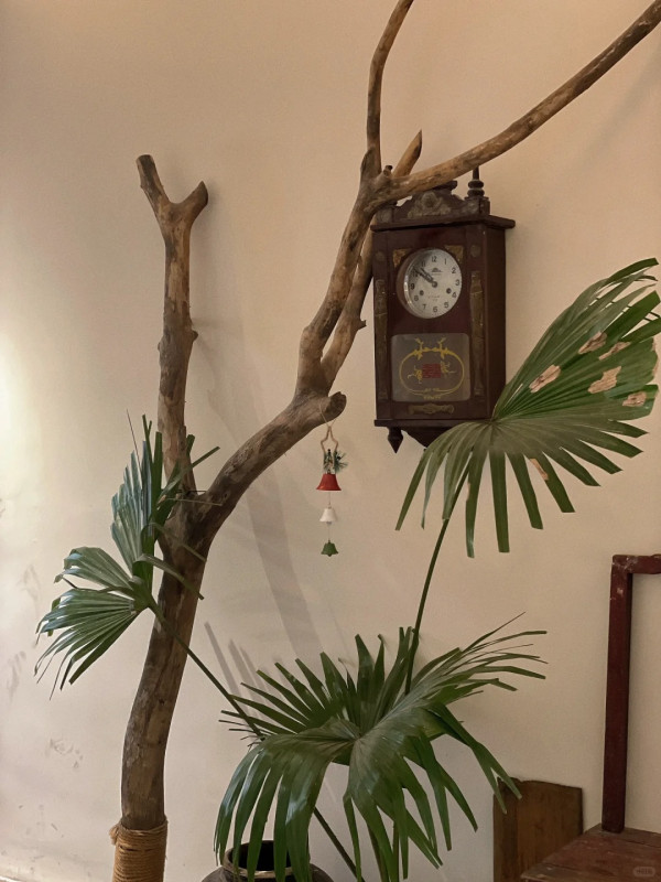 深圳坪山美食｜6. 兮食餐廳（圖片來源：太空奶奶＠小紅書）