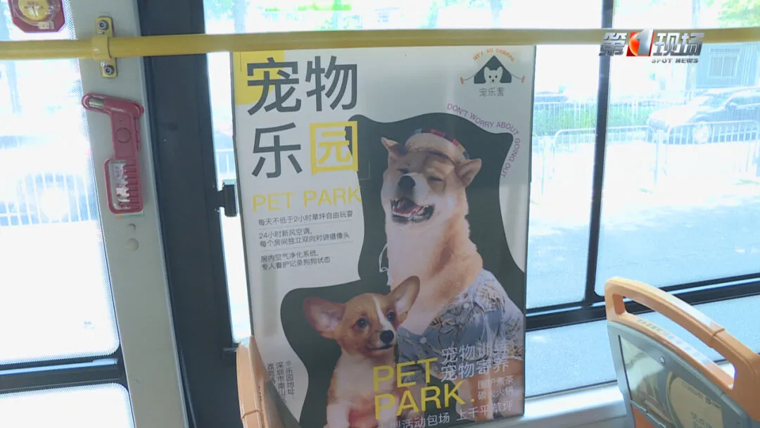 深圳首架寵物友善巴士正式開通！來往寶安南山區寵物公園 