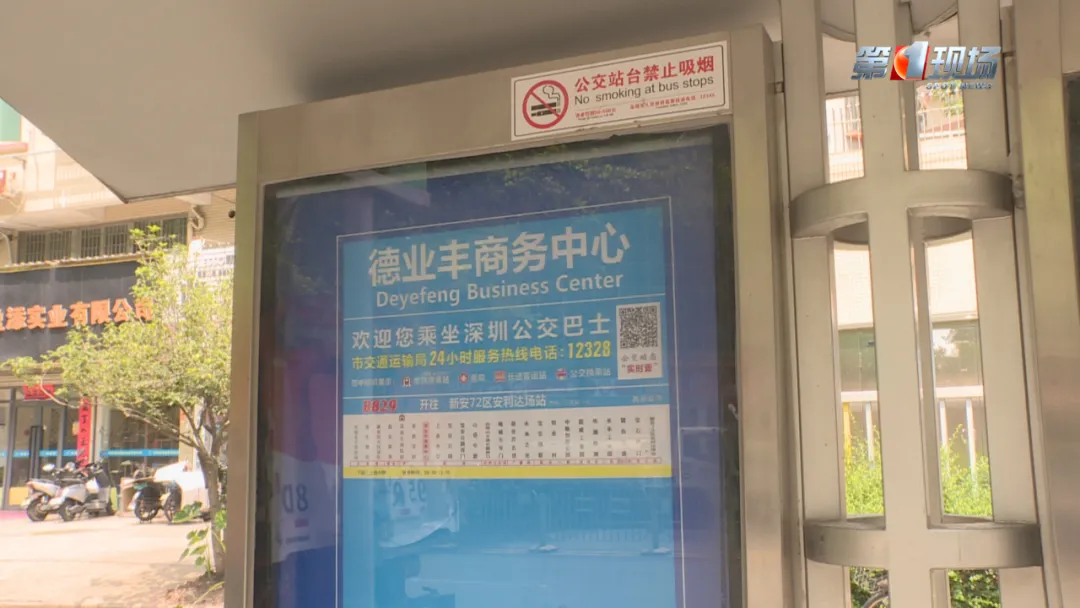 深圳首架寵物友善巴士正式開通！來往寶安南山區寵物公園 