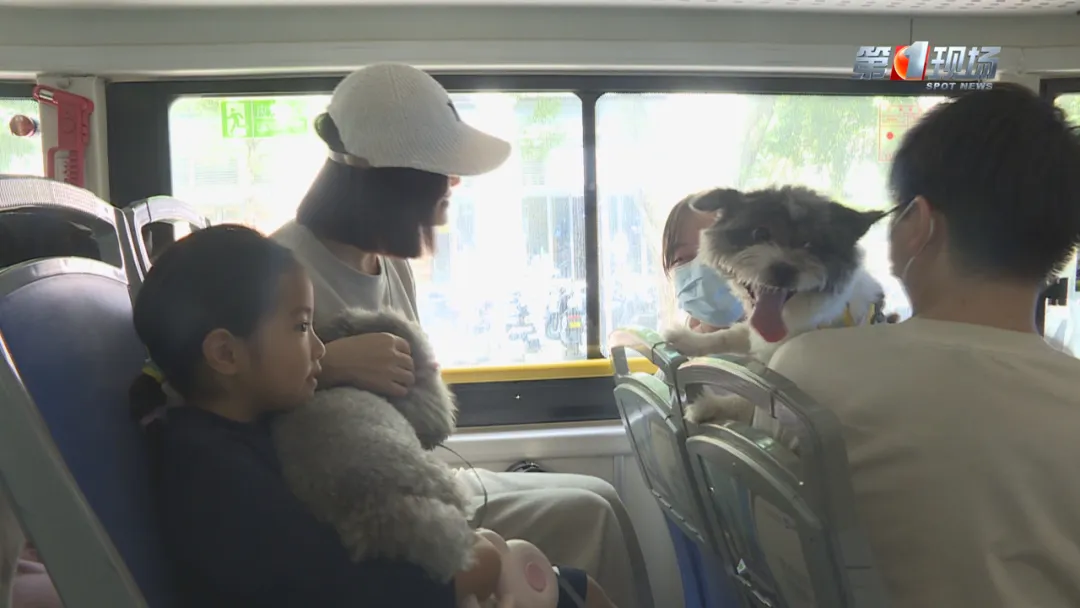 深圳首架寵物友善巴士正式開通！來往寶安南山區寵物公園 