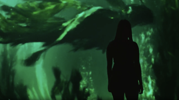 新加坡《哈利波特:魔法幻境》|沉浸式互動體驗!重現魔法部/萬應屋/奇獸皮箱