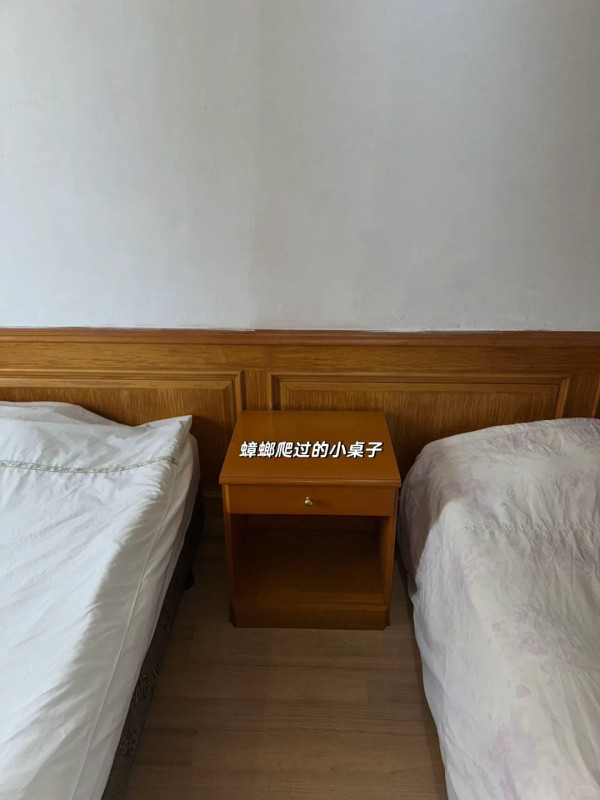 外國女遊泰國酒店驚遇2千隻飛蛾轟炸 床鋪全都是超嘔心/門口還掛眼鏡蛇?