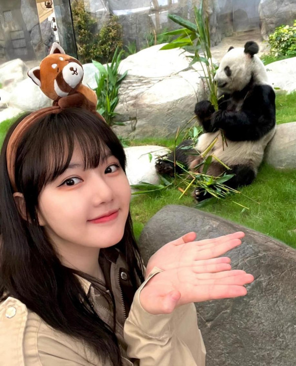 韓國女星Yerin遊海洋公園！招牌甜笑打卡/與小熊貓零距離接觸 
