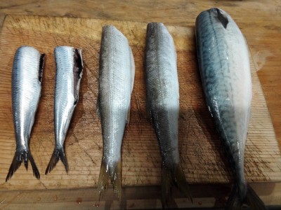 圖片來源:富きよ官網 圖片來源:富きよ官網