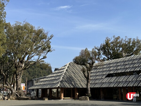 【2024新遊熊本】佛心價2星米芝蓮omakase | 國寶神社隈研吾新館、翻新重開200年溫泉、1,800日圓歎鮮魚料理 