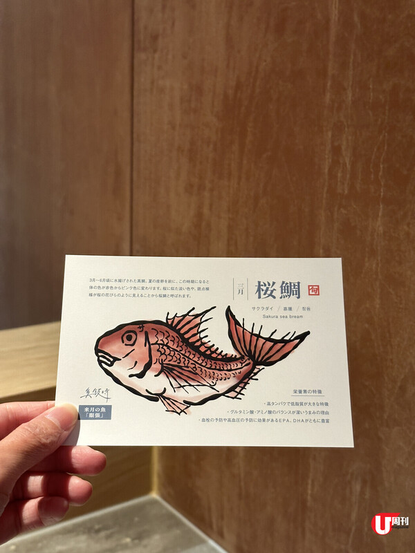 【2024新遊熊本】佛心價2星米芝蓮omakase | 國寶神社隈研吾新館、翻新重開200年溫泉、1,800日圓歎鮮魚料理 