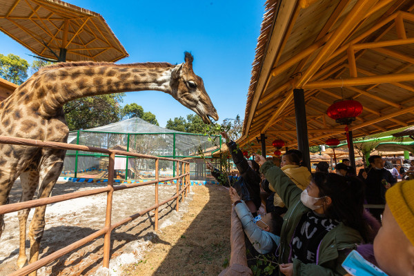 逾10大熱門長沙景點推介 一日遊自由行攻略/美食街/附高鐵交通+酒店
