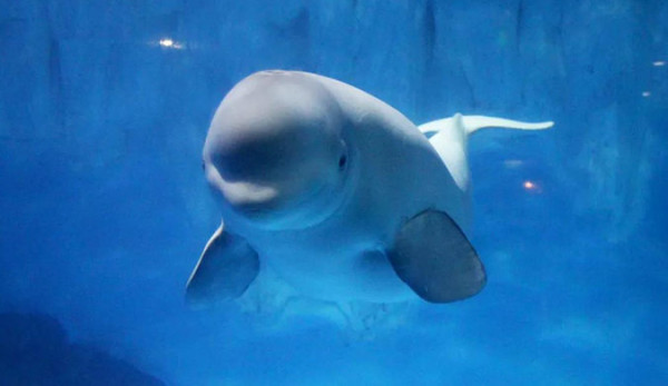 逾10大熱門長沙景點推介 一日遊自由行攻略/美食街/附高鐵交通+酒店