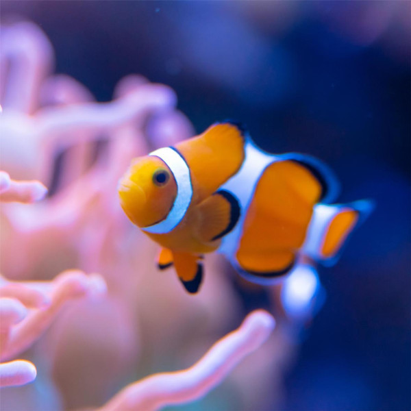 逾10大熱門長沙景點推介 一日遊自由行攻略/美食街/附高鐵交通+酒店