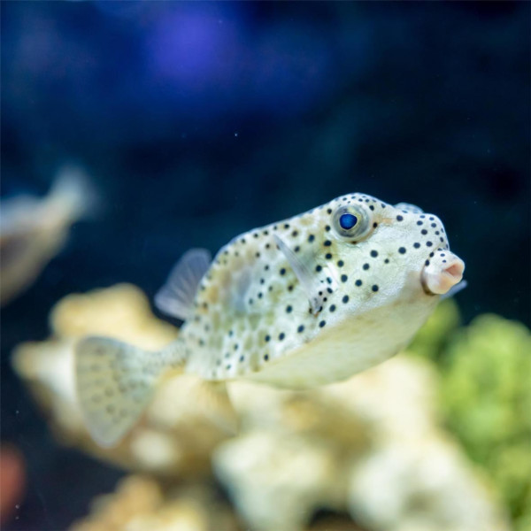 逾10大熱門長沙景點推介 一日遊自由行攻略/美食街/附高鐵交通+酒店