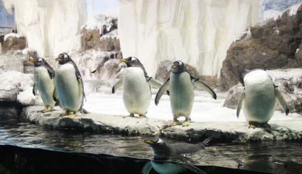 逾10大熱門長沙景點推介 一日遊自由行攻略/美食街/附高鐵交通+酒店