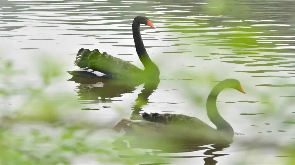 逾10大熱門長沙景點推介 一日遊自由行攻略/美食街/附高鐵交通+酒店