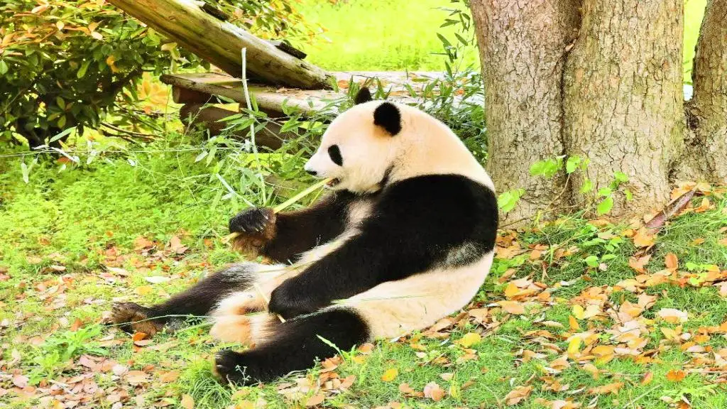 逾10大熱門長沙景點推介 一日遊自由行攻略/美食街/附高鐵交通+酒店