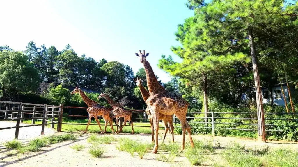 逾10大熱門長沙景點推介 一日遊自由行攻略/美食街/附高鐵交通+酒店