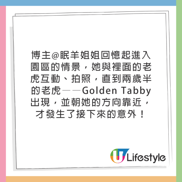 恐怖意外｜女遊客泰國參觀老虎園慘被咬傷！飼養員多次要求將臉貼近 