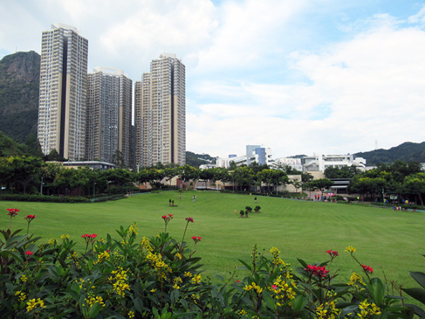 香港野餐好去處 佐敦谷公園（圖片來源：康樂及文化事務署）