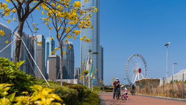 香港野餐好去處 金鐘添馬公園（圖片來源：發展局 - 綠化、園境及樹木管理組）