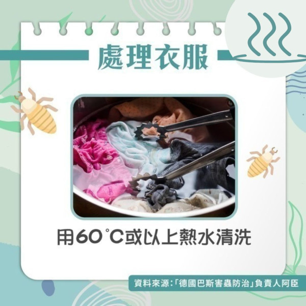 慳錢港媽淘寶飯枱送床蝨 短時間蔓延全屋傢俬 家人滿身蝨咬傷痕