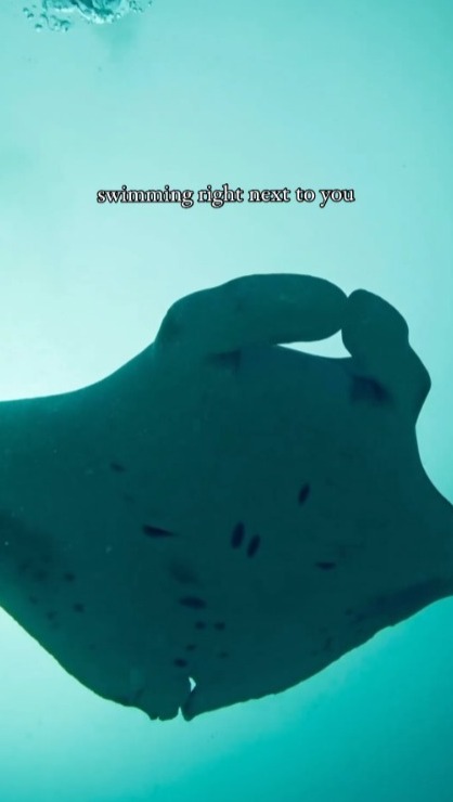 麥明詩盛勁為飛馬爾代夫度蜜月曬幸福合照 此行原來非二人世界 仲大手筆請埋…