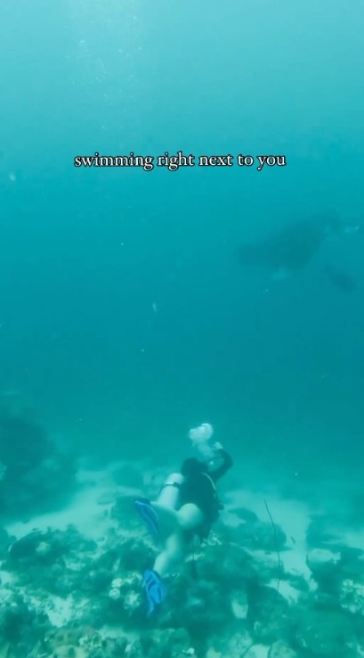 麥明詩盛勁為飛馬爾代夫度蜜月曬幸福合照 此行原來非二人世界 仲大手筆請埋…