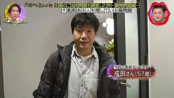 日本小貓迷戀臭鞋味！揭開六年謎團原因竟是XX