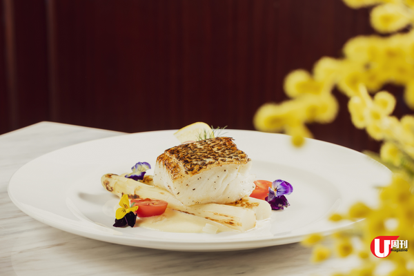 經典意大利餐廳 COVA 利園店重開 推 30 周年白露筍嘗味菜單