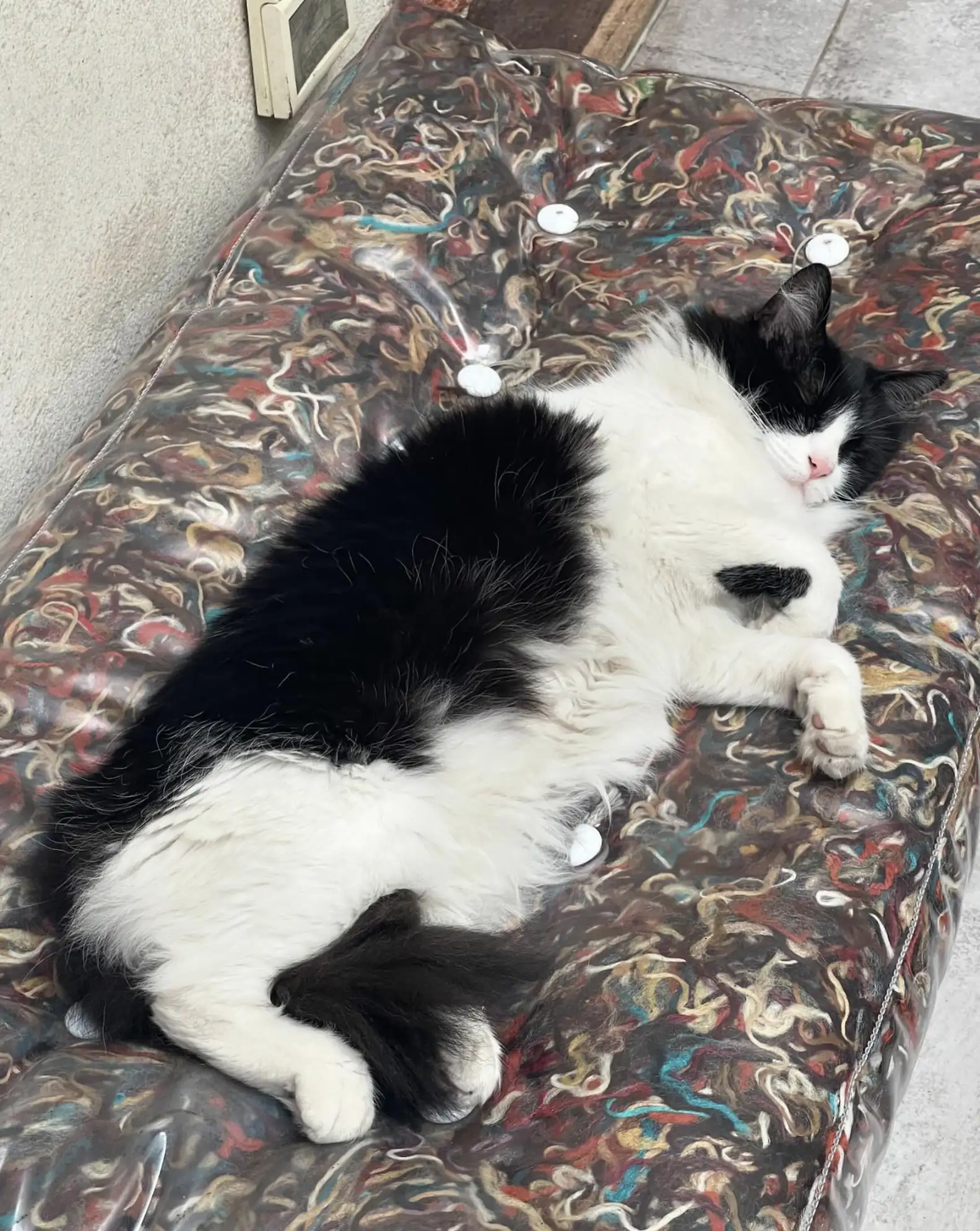 酒店貓貓員工暖心陪睡女客人數晚！獲巨額小費答謝撫慰心靈 