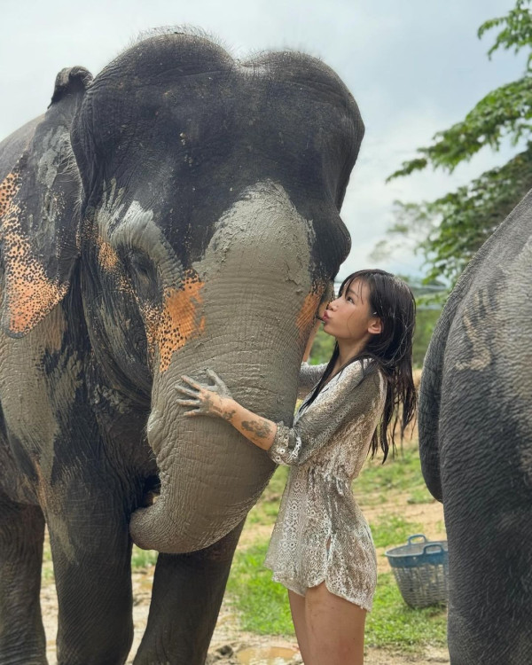 簡淑兒性感現身泰國音樂節 罕曬深長事業線 力撼咪神陳婉衡！ 