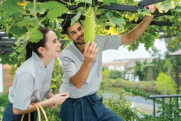 THANN Wellness Destination聯乘香港航空 推獨家8折住宿優惠！ 