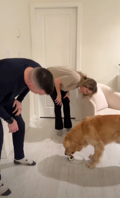 為食金毛一口吞性別揭曉蛋糕!準爸媽靠1方法知陀仔定女