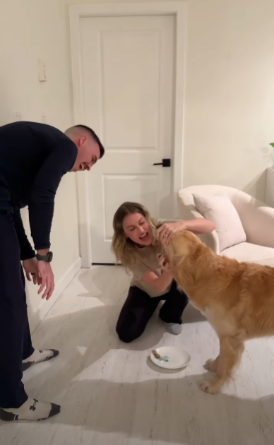 為食金毛一口吞性別揭曉蛋糕!準爸媽靠1方法知陀仔定女