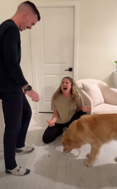 為食金毛一口吞性別揭曉蛋糕!準爸媽靠1方法知陀仔定女