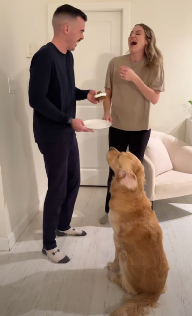 為食金毛一口吞性別揭曉蛋糕!準爸媽靠1方法知陀仔定女