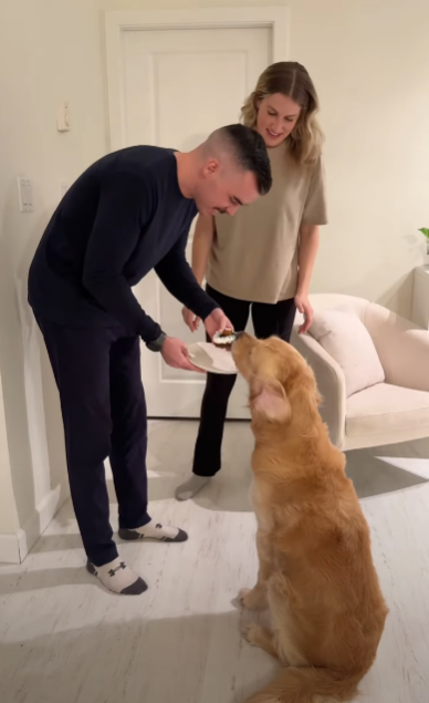 為食金毛一口吞性別揭曉蛋糕!準爸媽靠1方法知陀仔定女