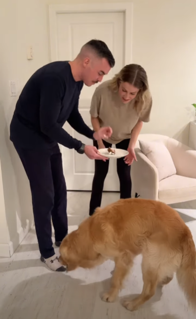 為食金毛一口吞性別揭曉蛋糕!準爸媽靠1方法知陀仔定女