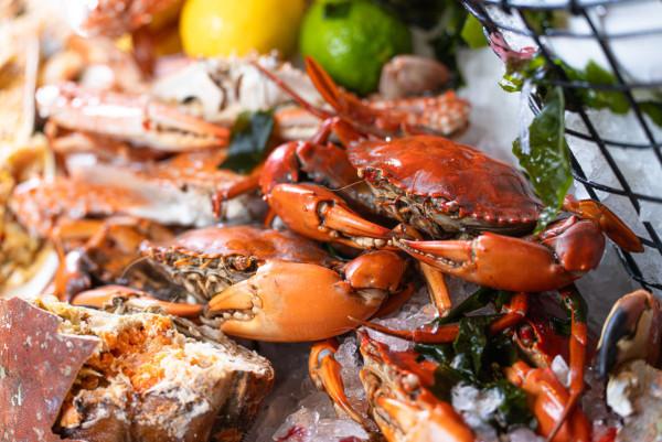 尖沙咀凱悅酒店自助餐買二送二優惠！4小時任食龍蝦／阿拉斯加雪蟹腳／肉眼牛扒／鐵板燒