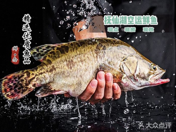 深圳萬達廣場美食一日遊｜逾20大必吃食肆推介！附近酒店+交通攻略 