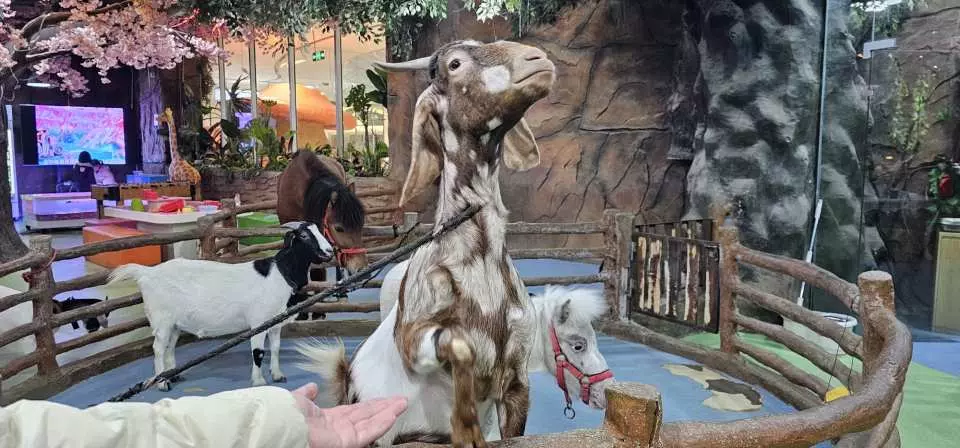 深圳萬達廣場美食一日遊｜逾20大必吃食肆推介！附近酒店+交通攻略 