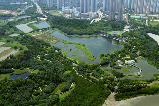天水圍好去處 香港濕地公園（圖片來源：香港濕地公園官網）